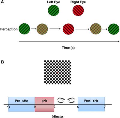 Older Adults Exhibit Greater Visual Cortex Inhibition and Reduced Visual Cortex Plasticity Compared to Younger Adults